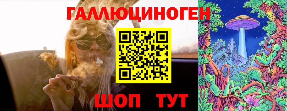 Псилоцибиновые грибы Psilocybine cubensis Зеленокумск