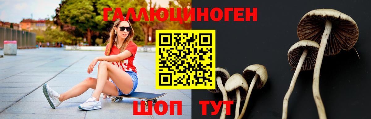 Зеленокумск  дарнет шоп  Вход с VPN  Галлюциногенные грибы Psilocybine cubensis 